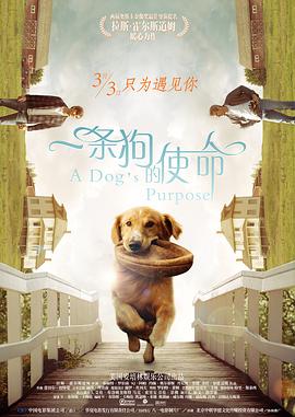 国产福利小视频在线观看