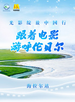 成人区精品一区二区毛片不卡