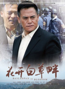 国产精品岛国久久久久