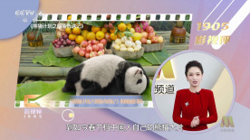 情侣的工作店